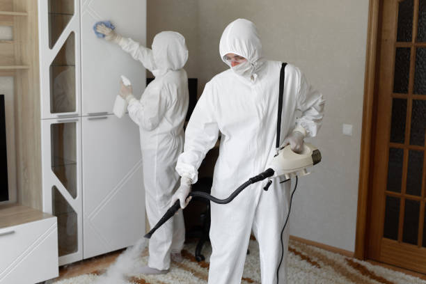 Best Residential Mold Removal  in Frankfort, OH