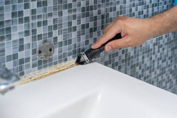 Best Local Mold Removal Service  in Frankfort, OH