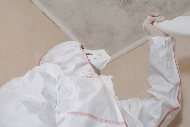 Frankfort, OH Mold Removal Company